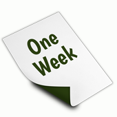 One-Week Transcription Service (6 days).